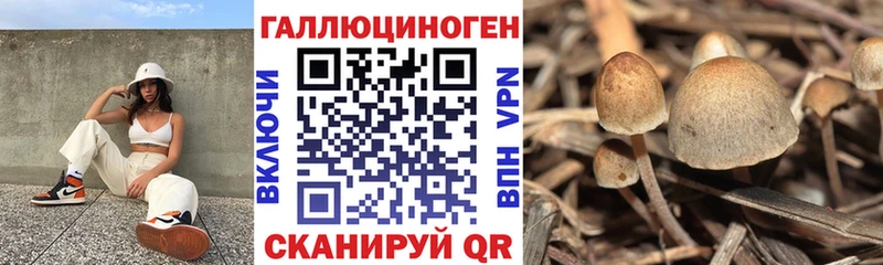 Галлюциногенные грибы мухоморы  Артём 